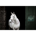 Horseware Micklem Bitless Bridle Bruin