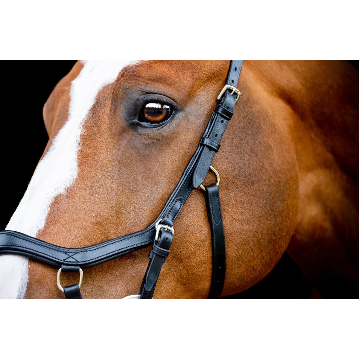 Rambo Micklem Competition Bridle New Zwart