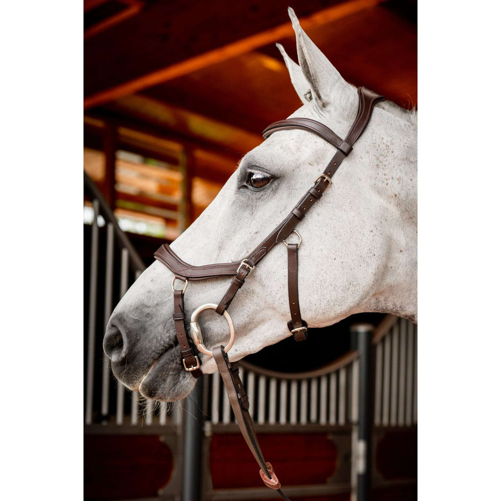Horseware Micklem Competition Bridle New Dark Havana
