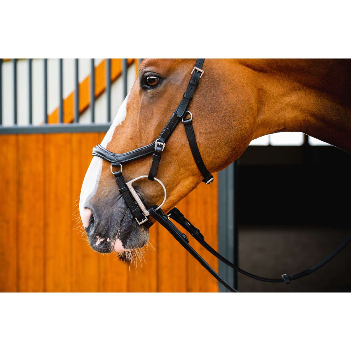 Rambo Micklem Diamond Competition Bridle New Zwart
