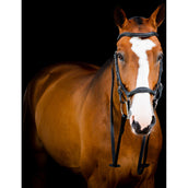 Rambo Micklem Deluxe Competition Bridle New Zwart