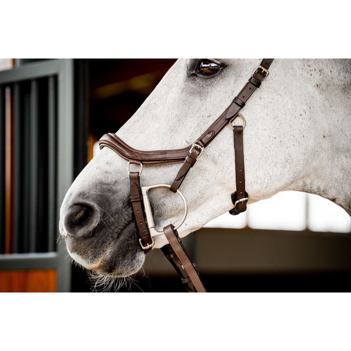 Rambo Micklem Deluxe Competition Bridle New Dark Havana