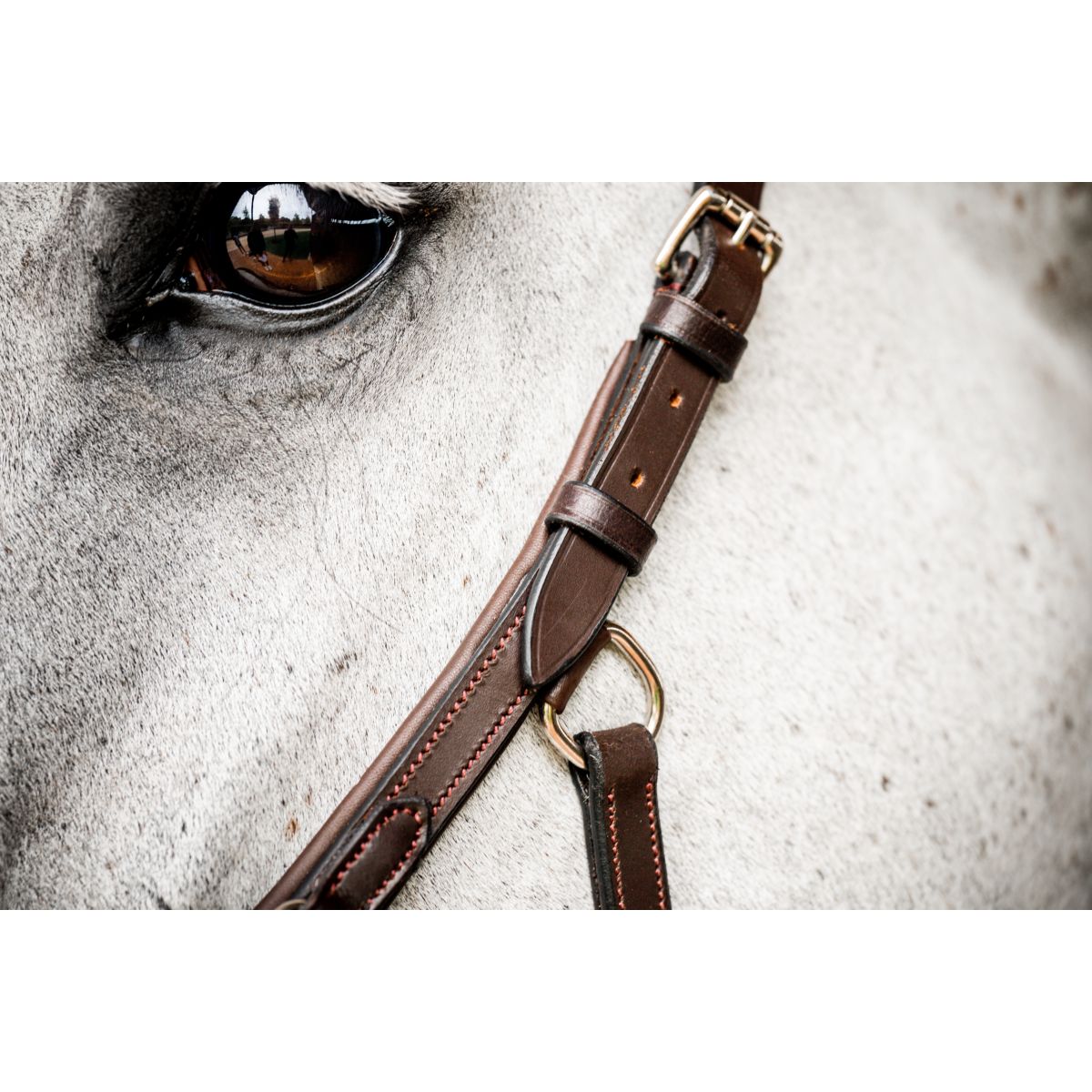 Rambo Micklem Deluxe Competition Bridle New Dark Havana