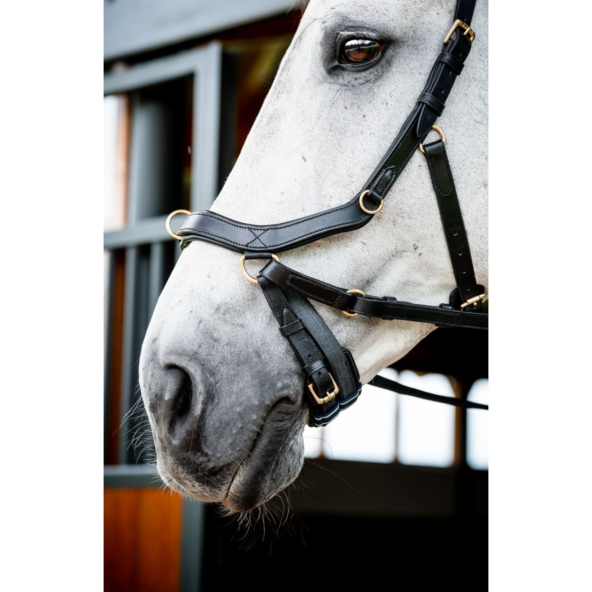 Rambo Micklem Multi Bridle New Zwart