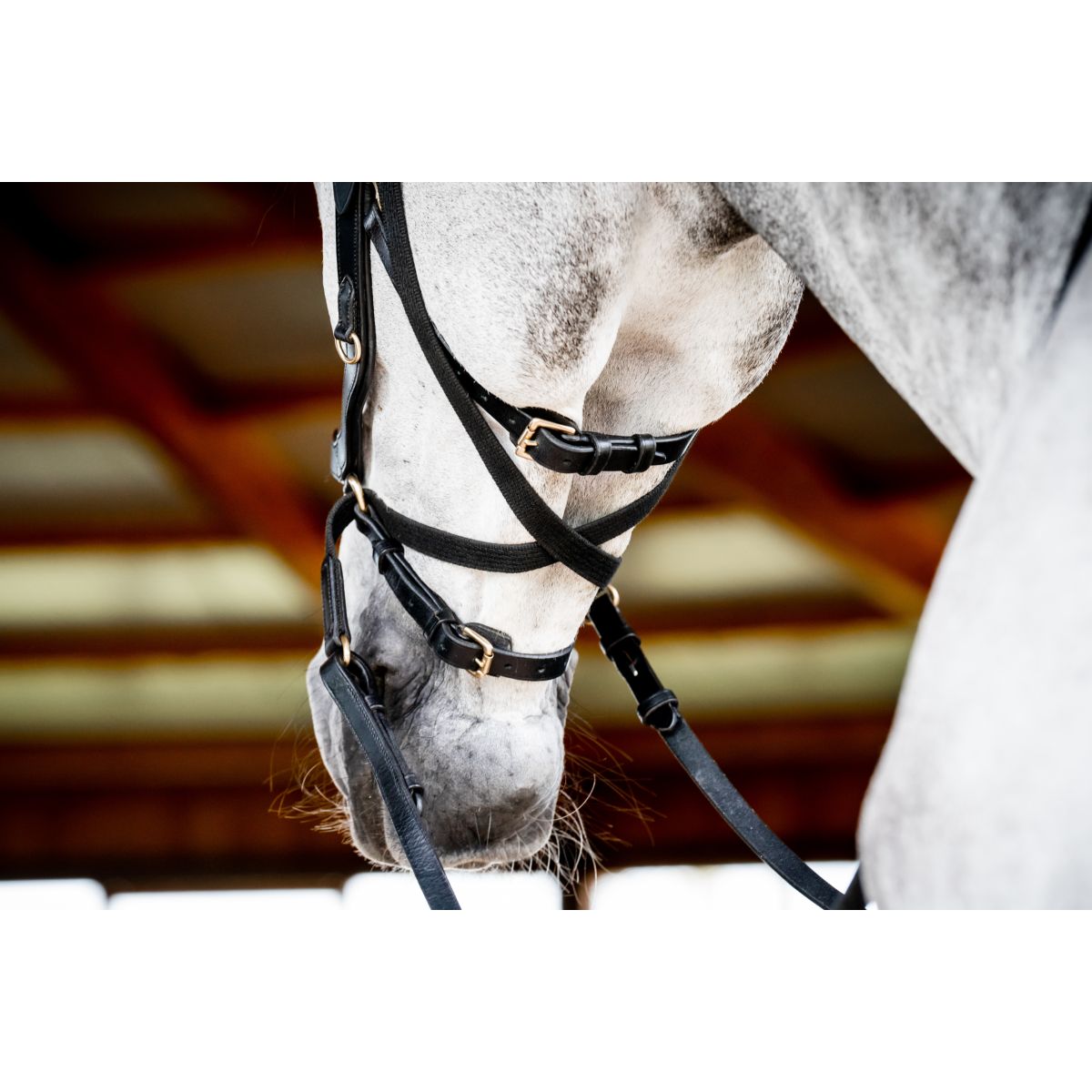 Rambo Micklem Multi Bridle New Zwart