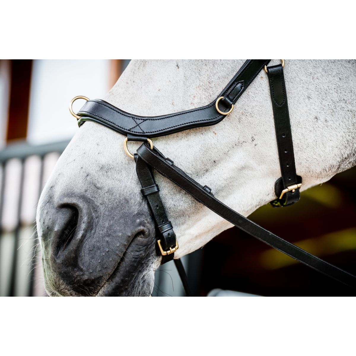 Rambo Micklem Multi Bridle New Zwart