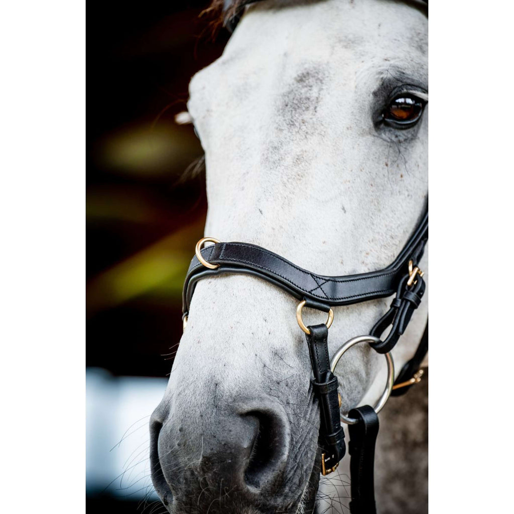 Horseware Micklem Multi Bridle New Zwart