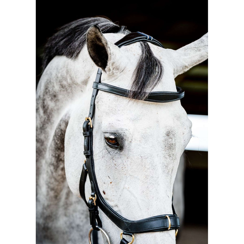 Horseware Micklem Multi Bridle New Zwart