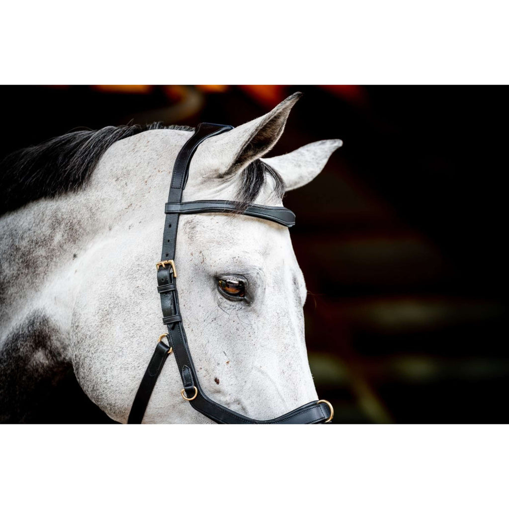 Horseware Micklem Multi Bridle New Zwart