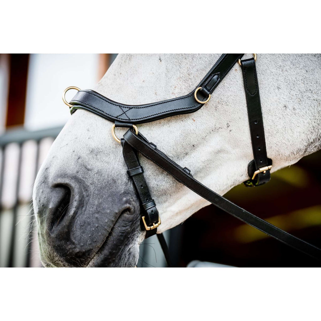 Horseware Micklem Multi Bridle New Zwart