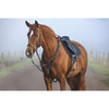 Horseware Micklem Borsttuig met Martingaal Zwart