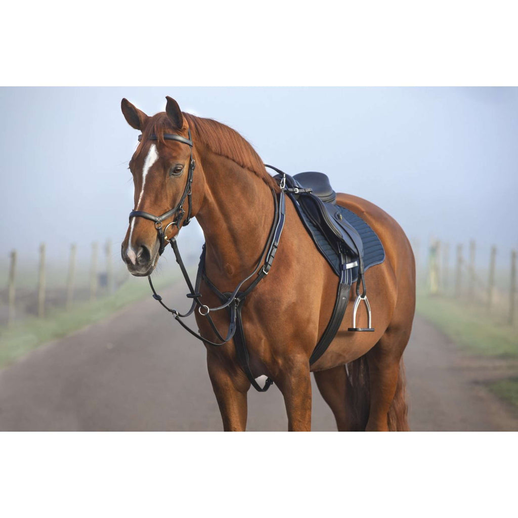 Horseware Micklem Borsttuig met Martingaal Zwart