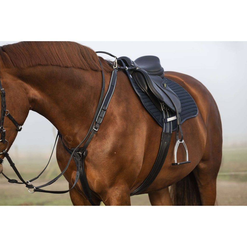 Horseware Micklem Borsttuig met Martingaal Zwart