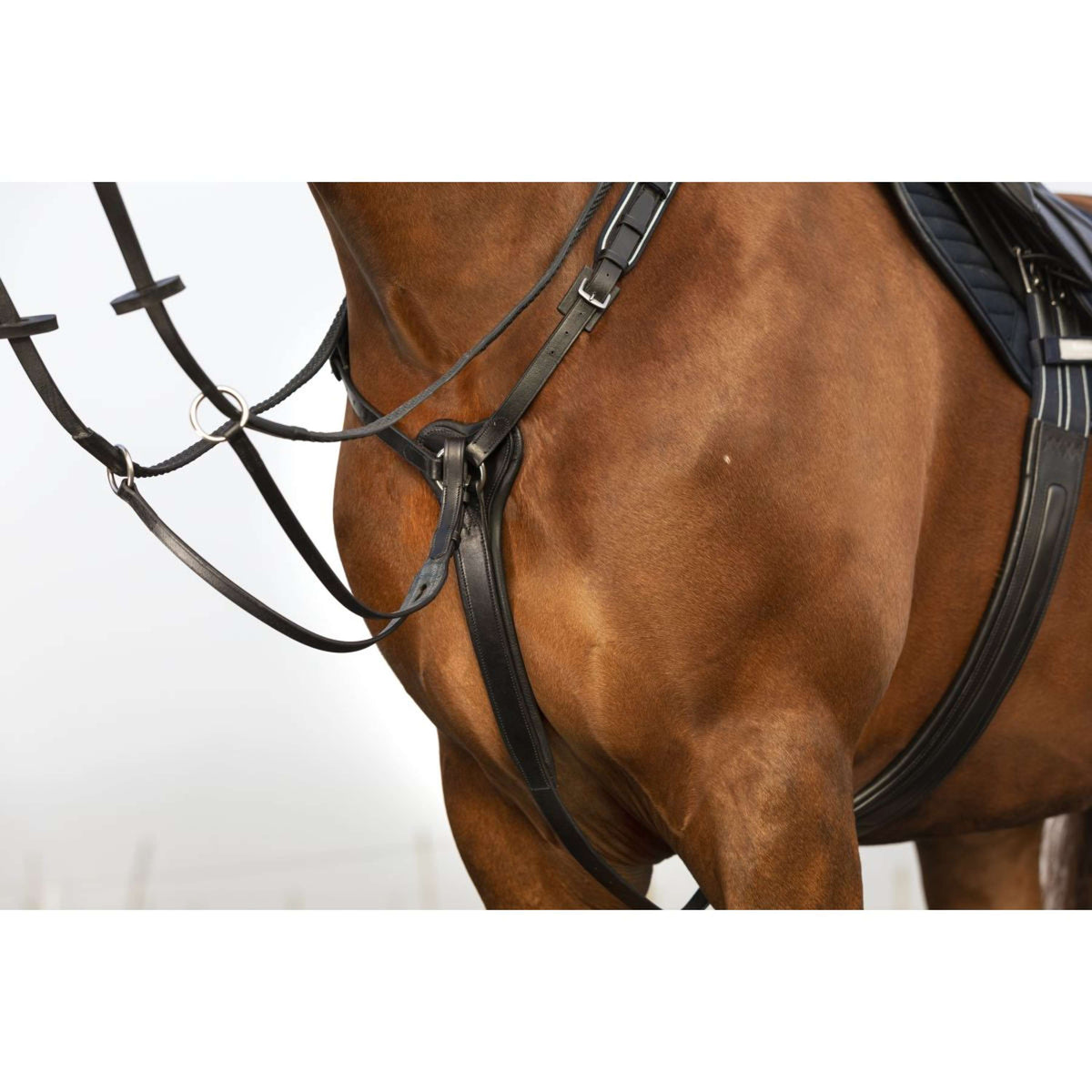 Rambo Micklem Borsttuig met Martingaal Zwart