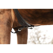 Rambo Micklem Borsttuig met Martingaal Zwart