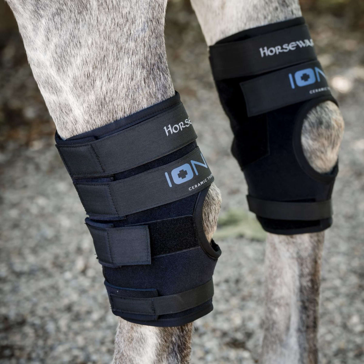 Horseware Hock Boots Ionic Set of 2 Zwart