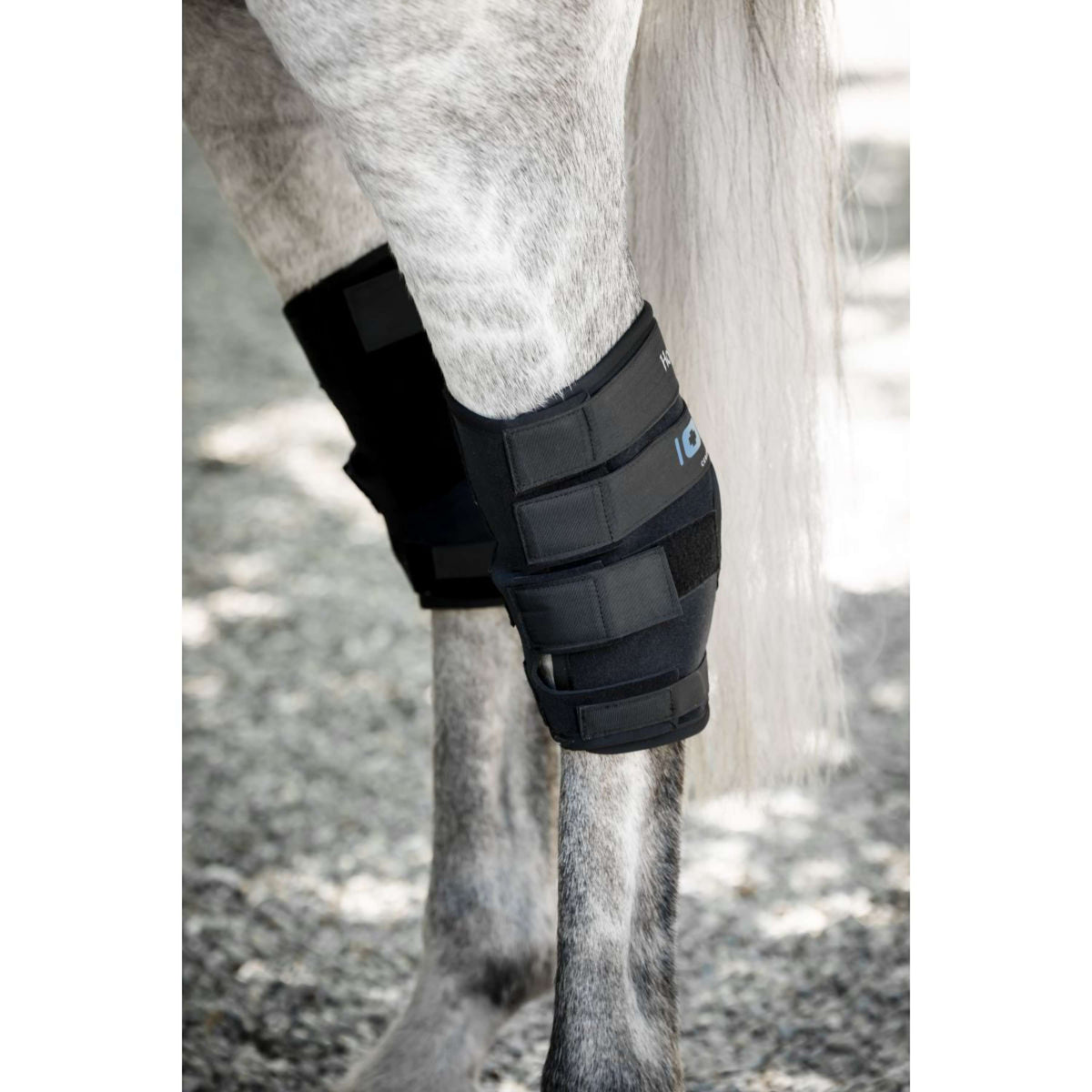 Horseware Hock Boots Ionic Set of 2 Zwart