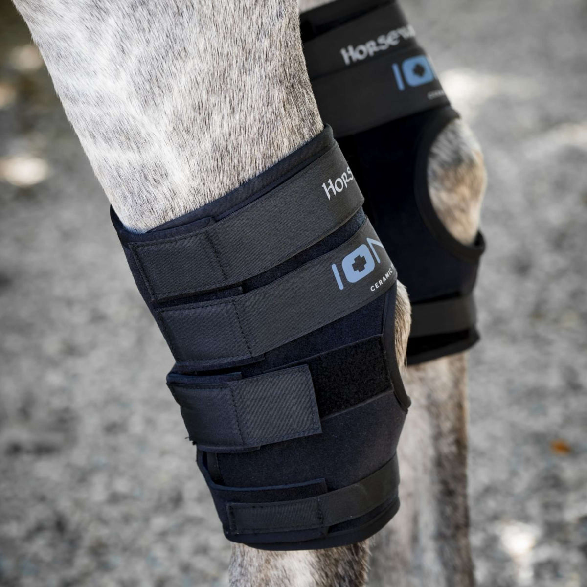 Horseware Hock Boots Ionic Set of 2 Zwart