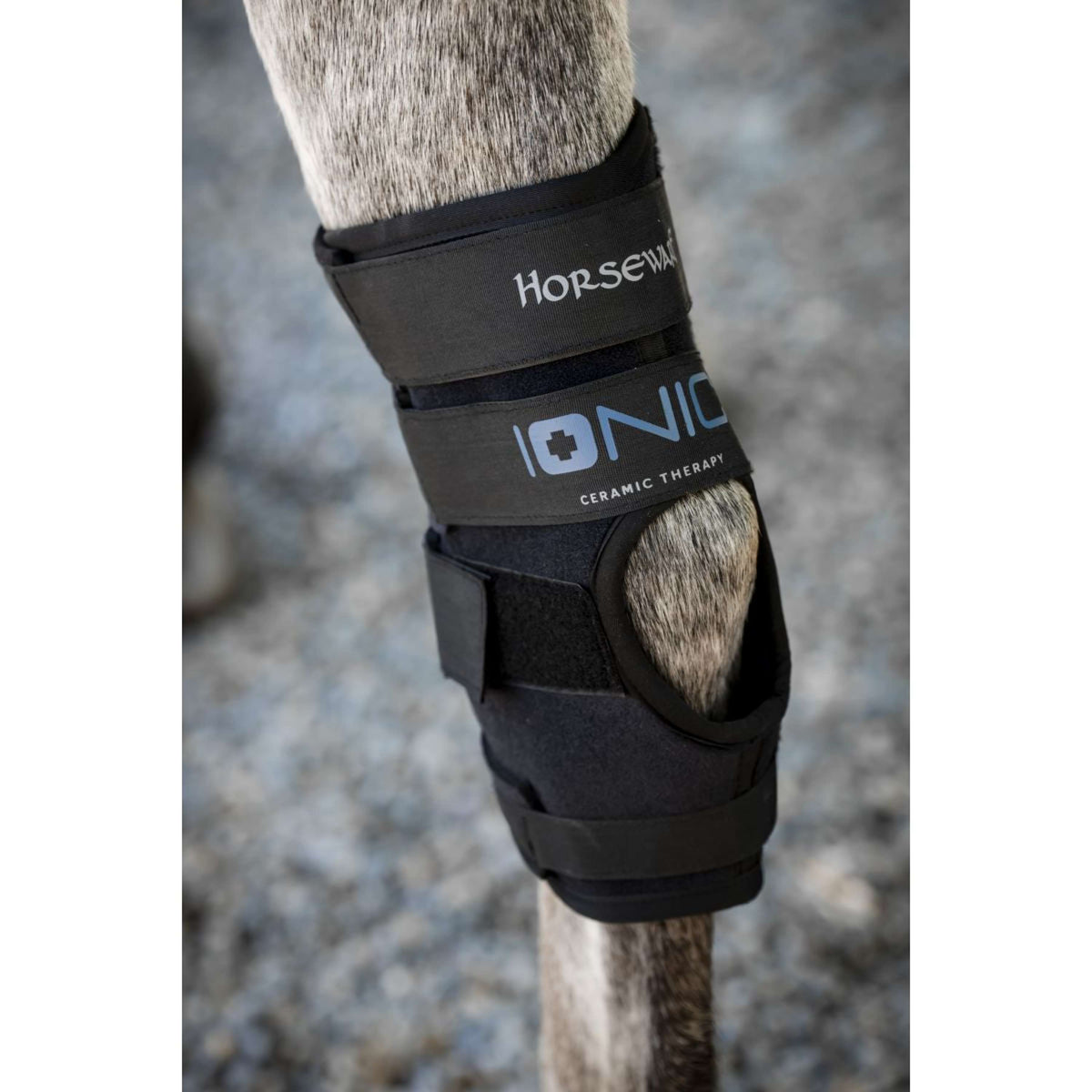 Horseware Hock Boots Ionic Set of 2 Zwart