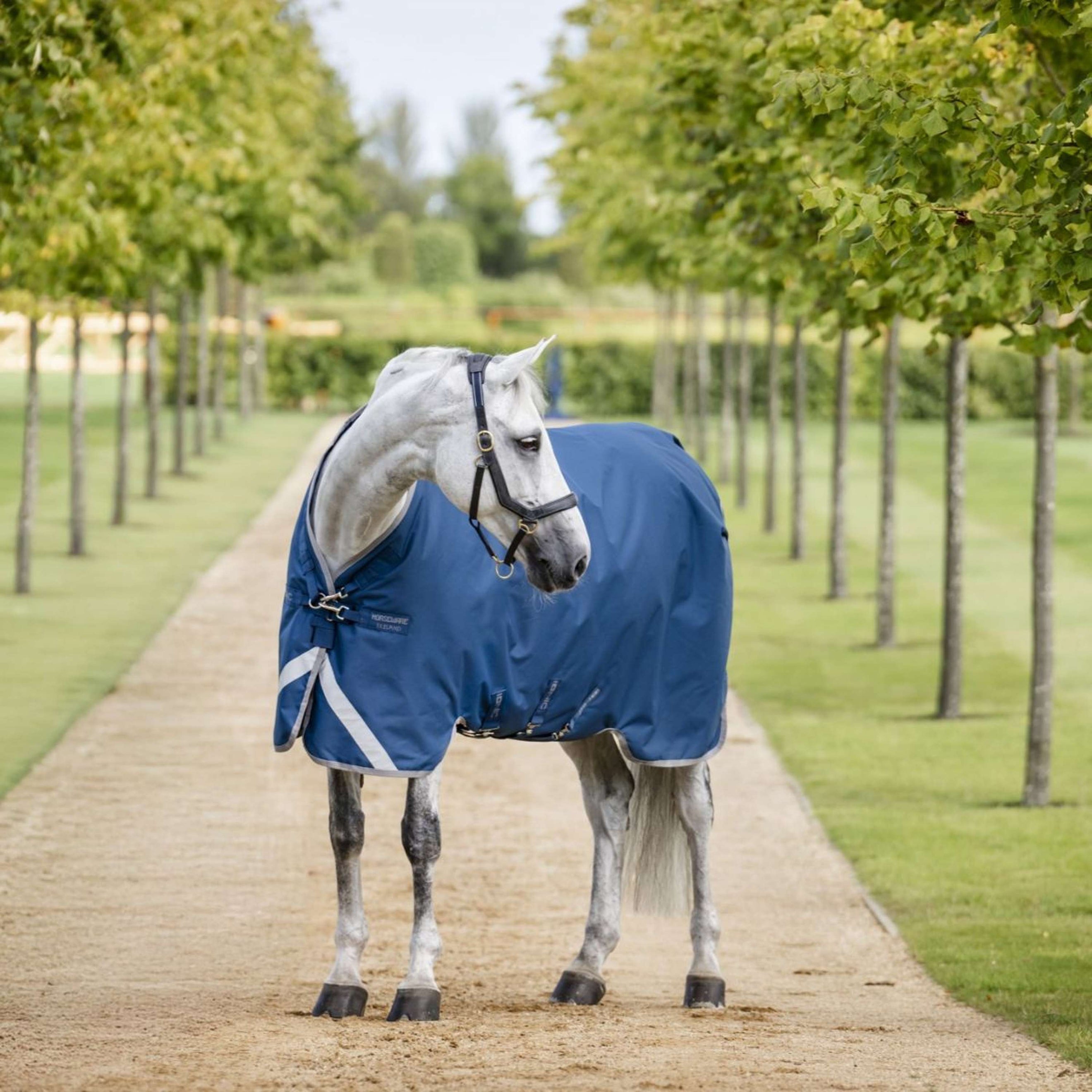 Horseware Therapy Turnout Ionic 100g Imperial Blue/Silver/Navy