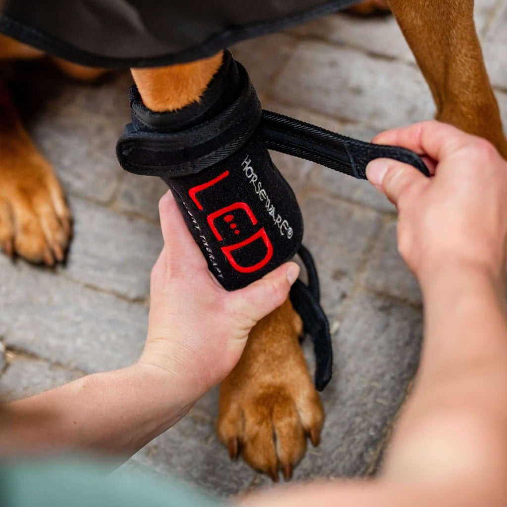 Horseware Pet Leg Wraps LED Red Light Therapy Pair Zwart/Zwart