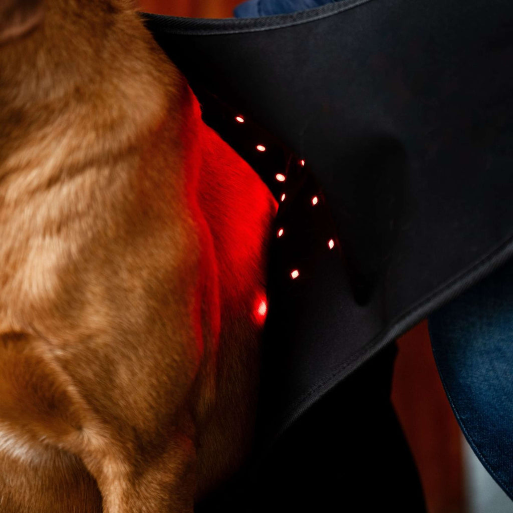 Horseware Pet Leg Wraps LED Red Light Therapy Pair Zwart/Zwart