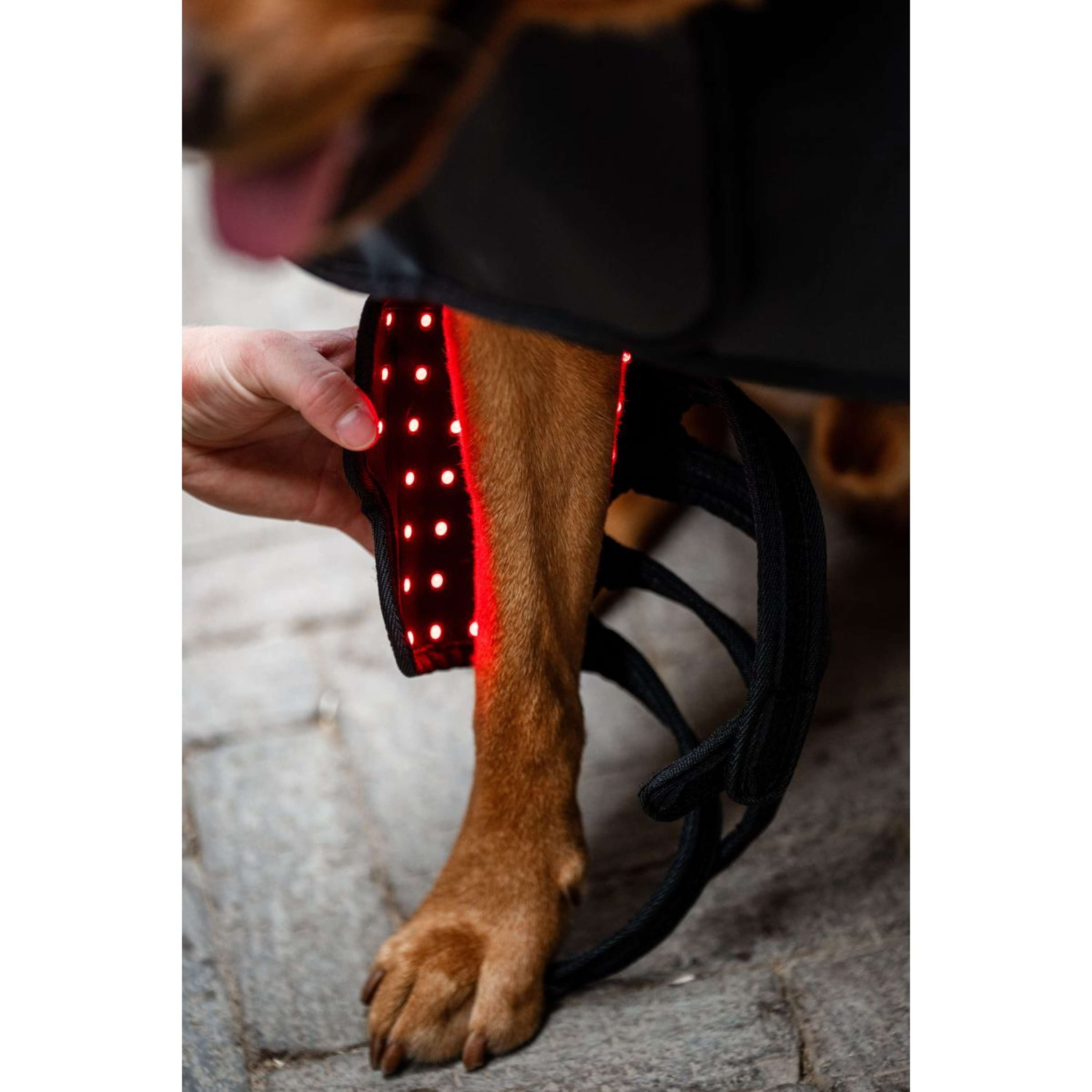 Horseware Pet Leg Wraps LED Red Light Therapy Pair Zwart/Zwart