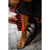 Horseware Pet Leg Wraps LED Red Light Therapy Pair Zwart/Zwart