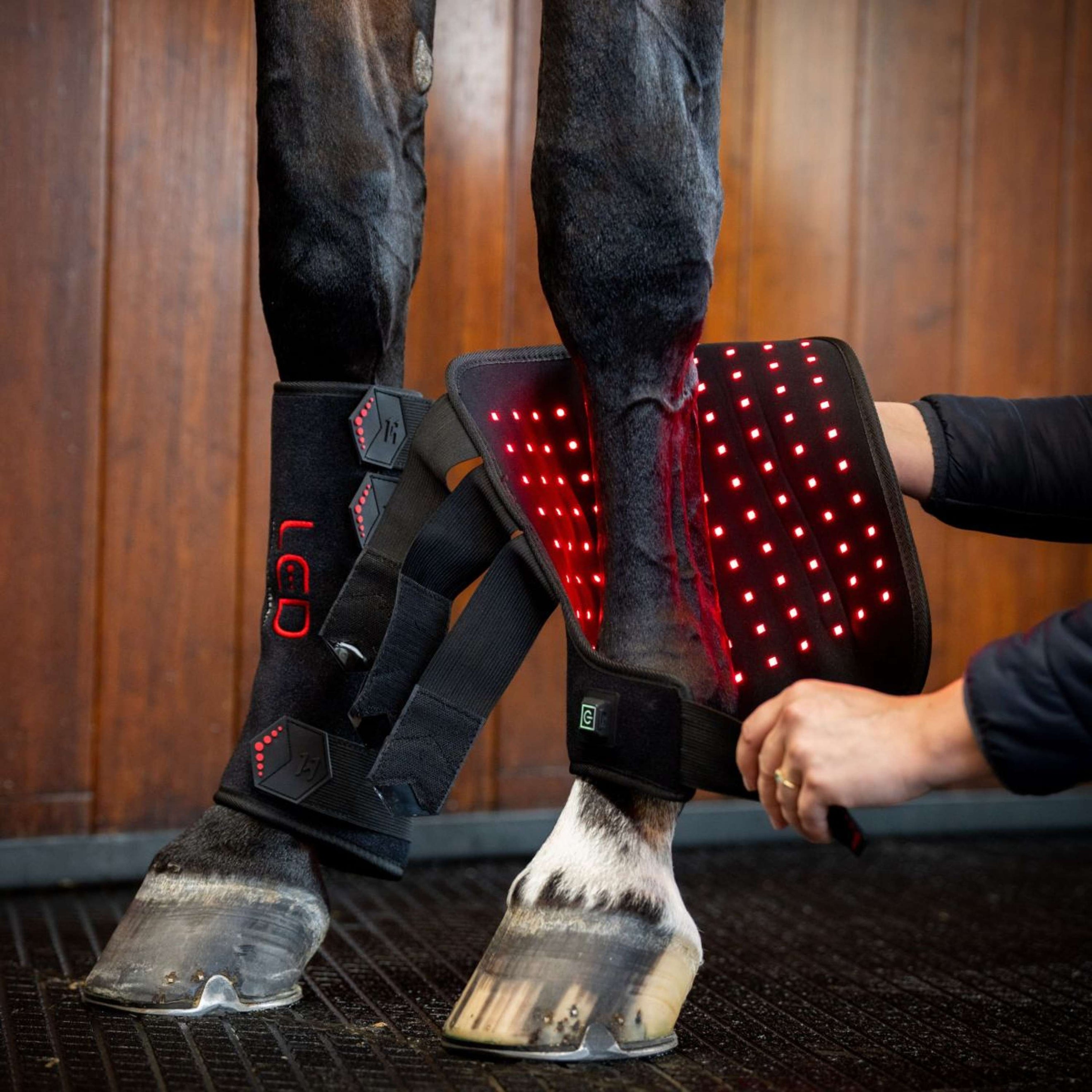 Horseware Leg Wraps LED Red Light Therapy Pair Zwart/Zwart
