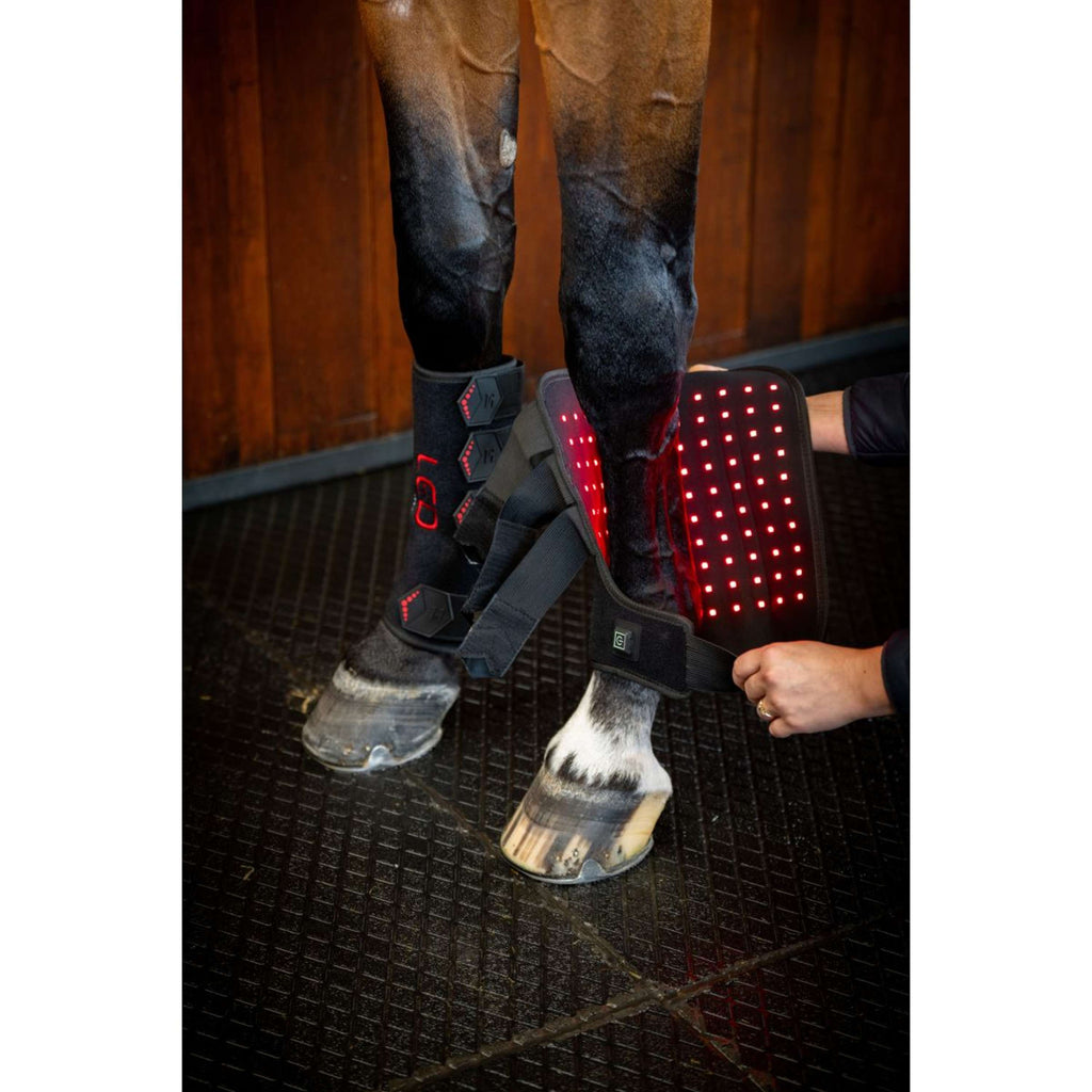 Horseware Leg Wraps LED Red Light Therapy Pair Zwart/Zwart