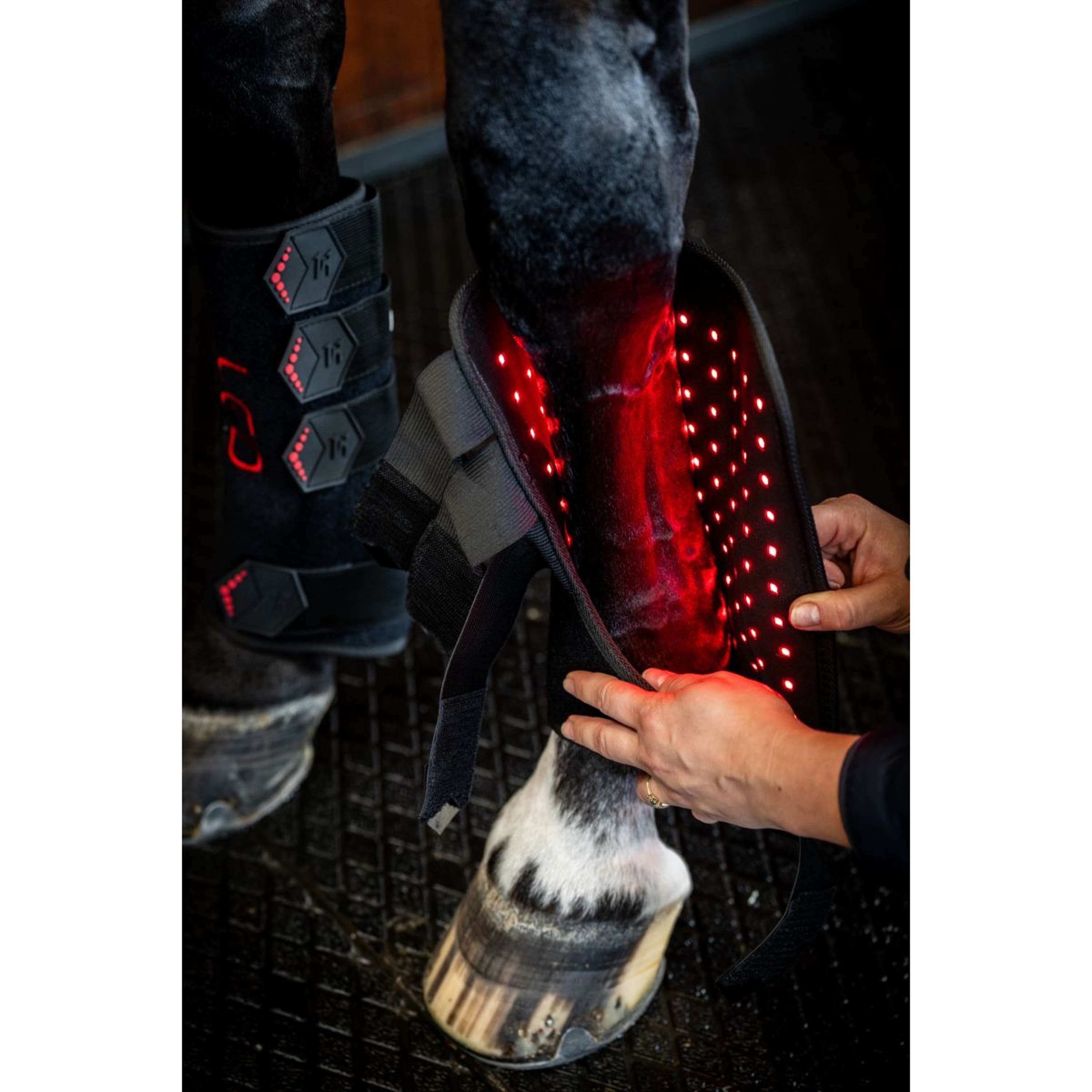 Horseware Leg Wraps LED Red Light Therapy Pair Zwart/Zwart
