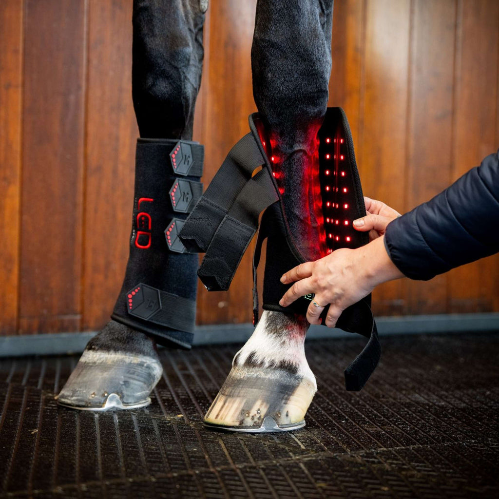 Horseware Leg Wraps LED Red Light Therapy Pair Zwart/Zwart