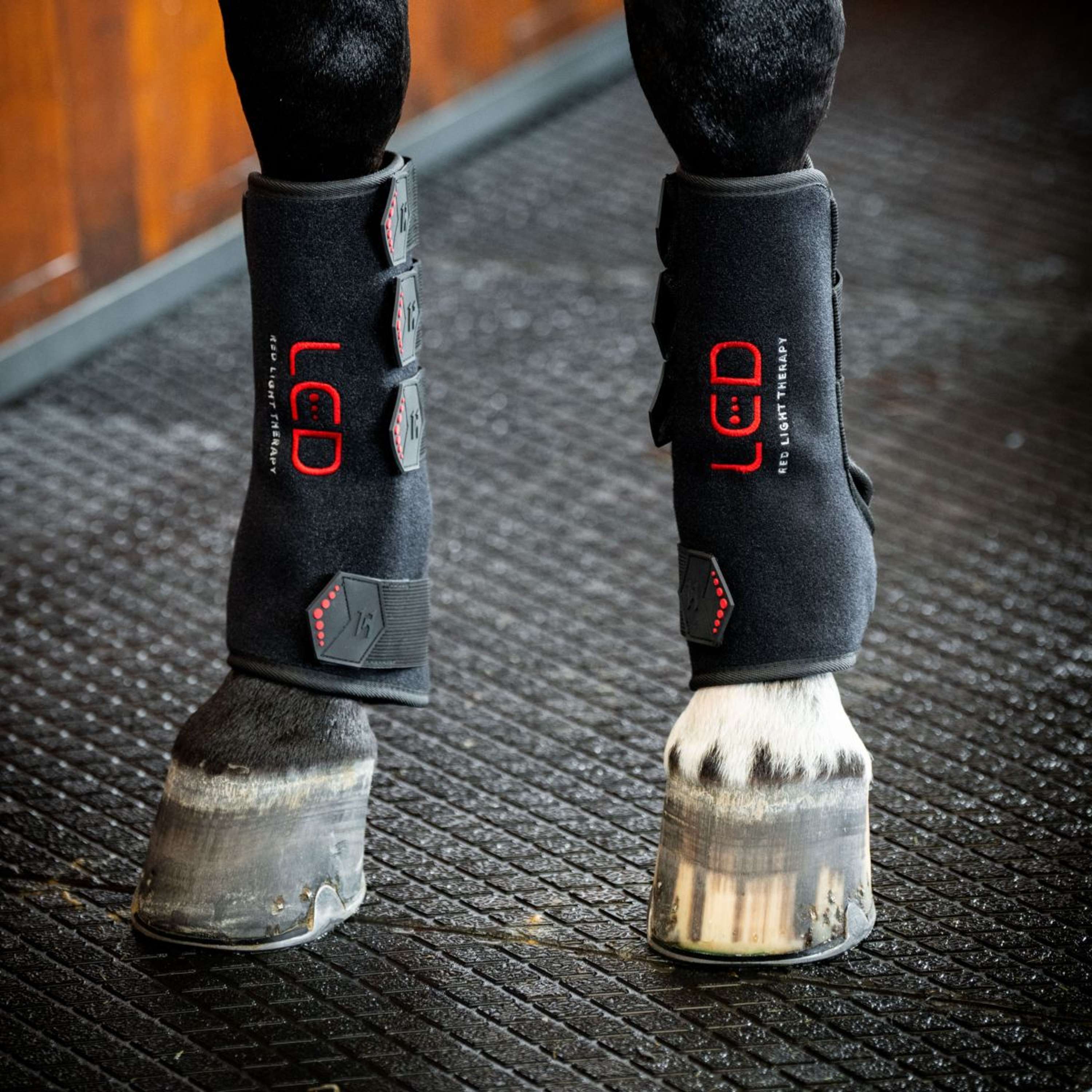 Horseware Leg Wraps LED Red Light Therapy Pair Zwart/Zwart