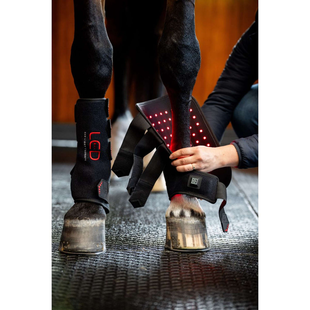 Horseware Leg Wraps LED Red Light Therapy Pair Zwart/Zwart