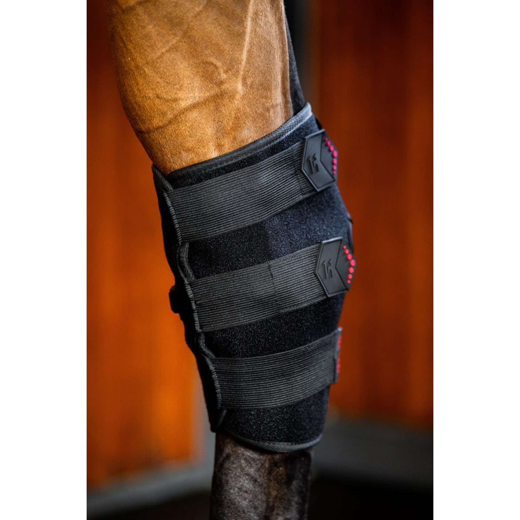Horseware Hock Boots LED Red Light Therapy Pair Zwart/Zwart