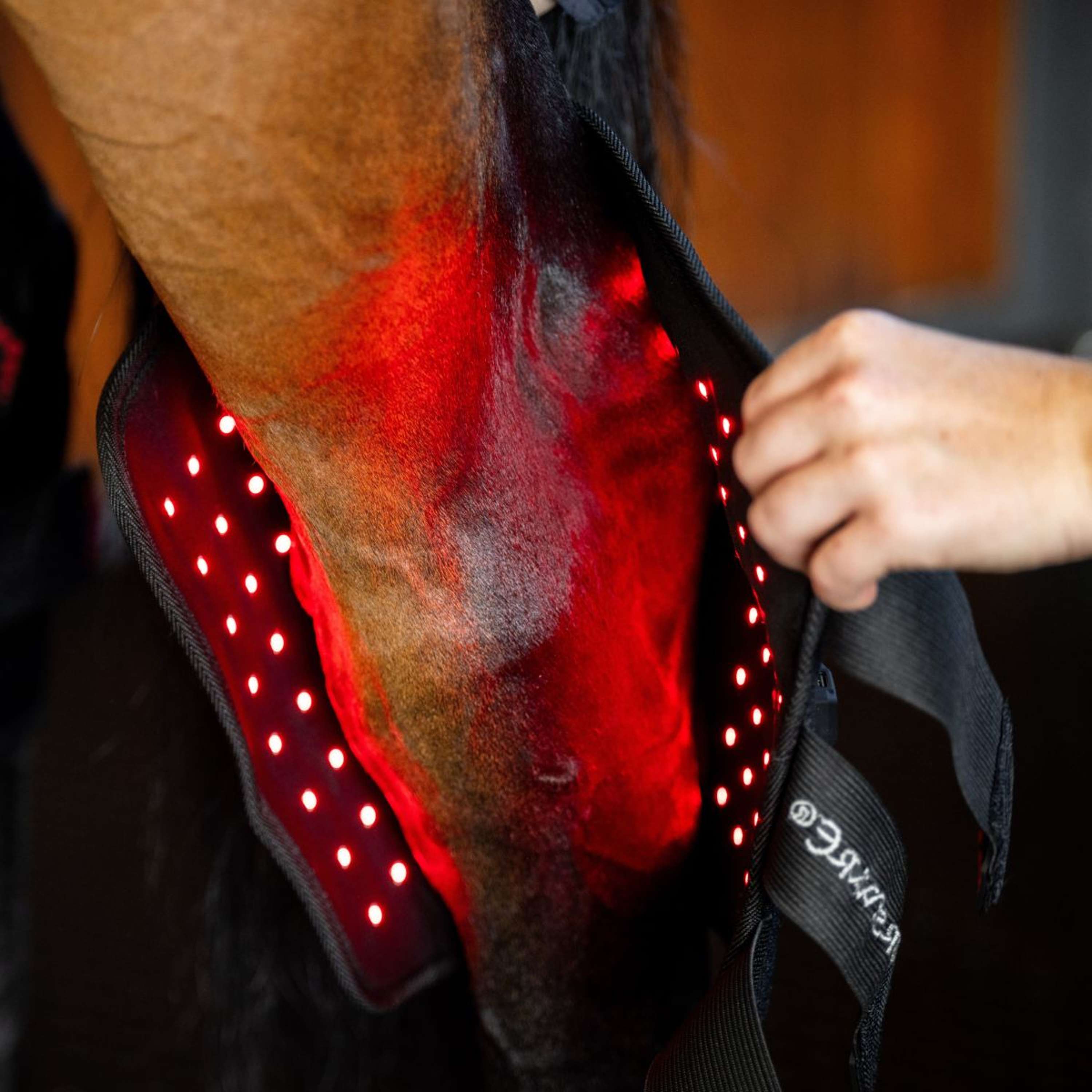 Horseware Hock Boots LED Red Light Therapy Pair Zwart/Zwart