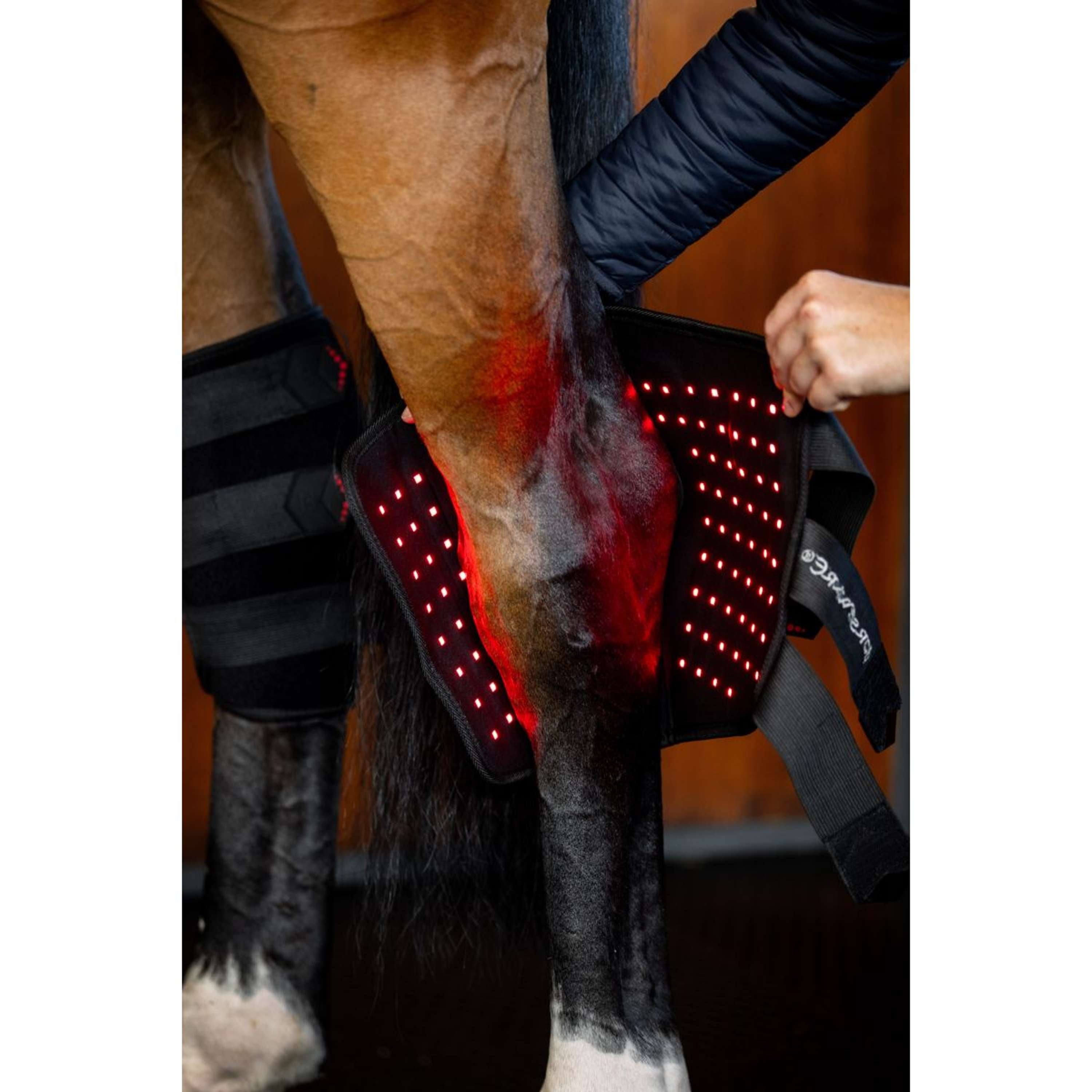 Horseware Hock Boots LED Red Light Therapy Pair Zwart/Zwart