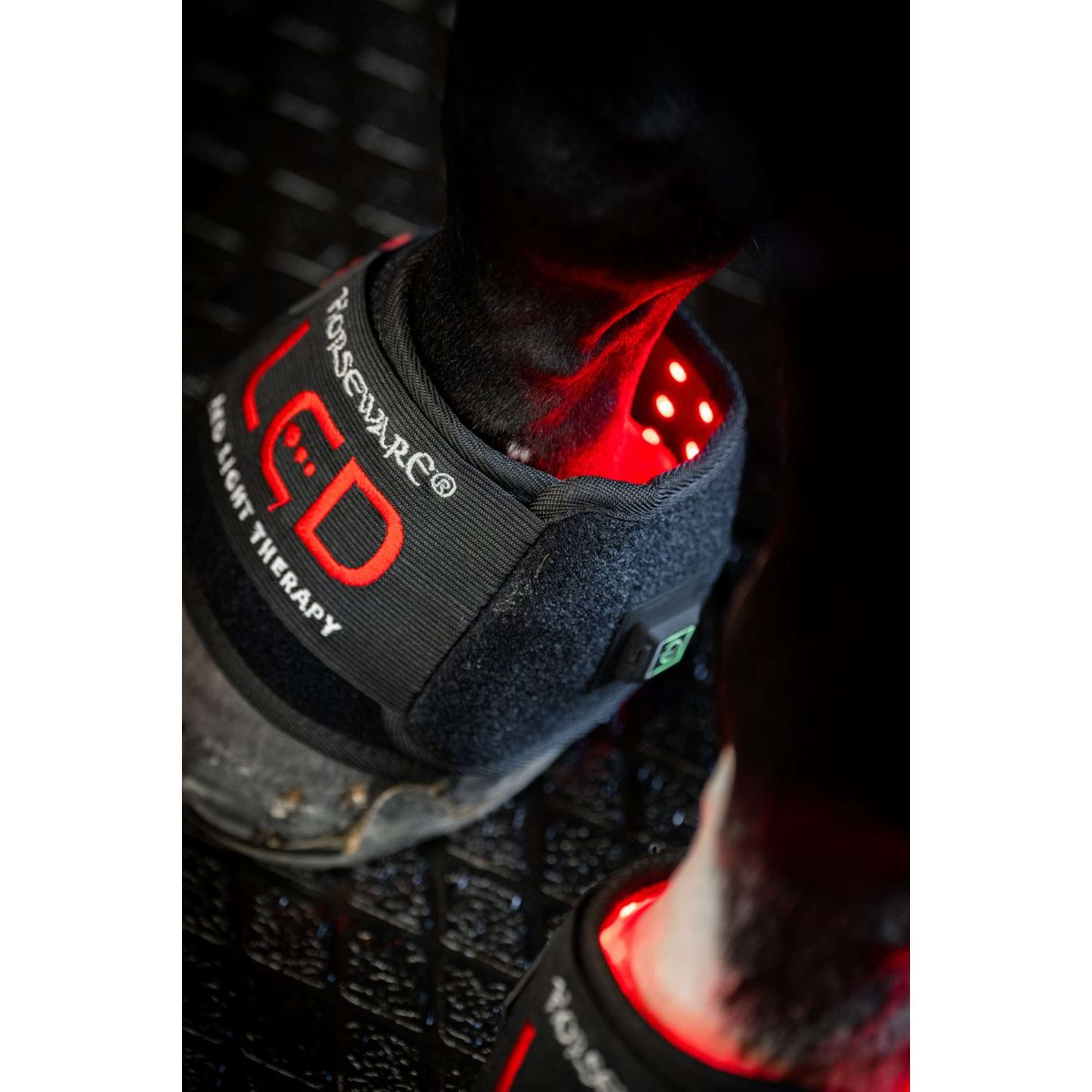 Horseware Mini Wraps LED Red Light Therapy Quad Zwart/Zwart