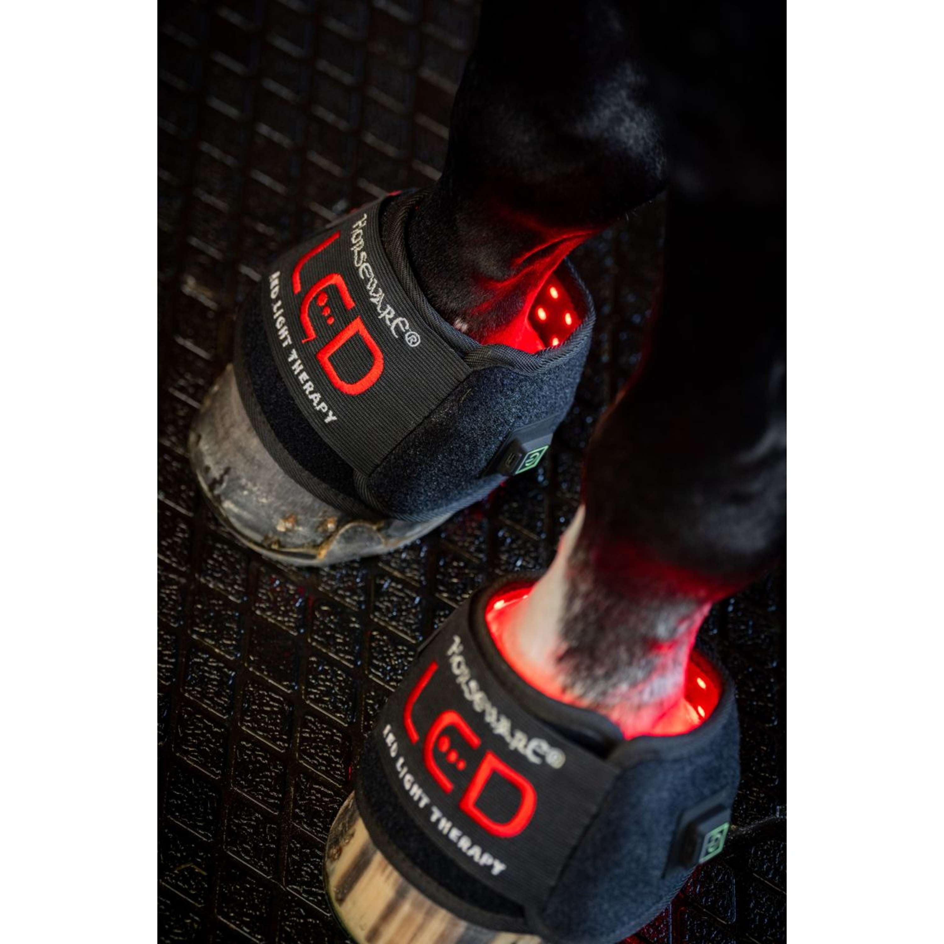 Horseware Mini Wraps LED Red Light Therapy Quad Zwart/Zwart