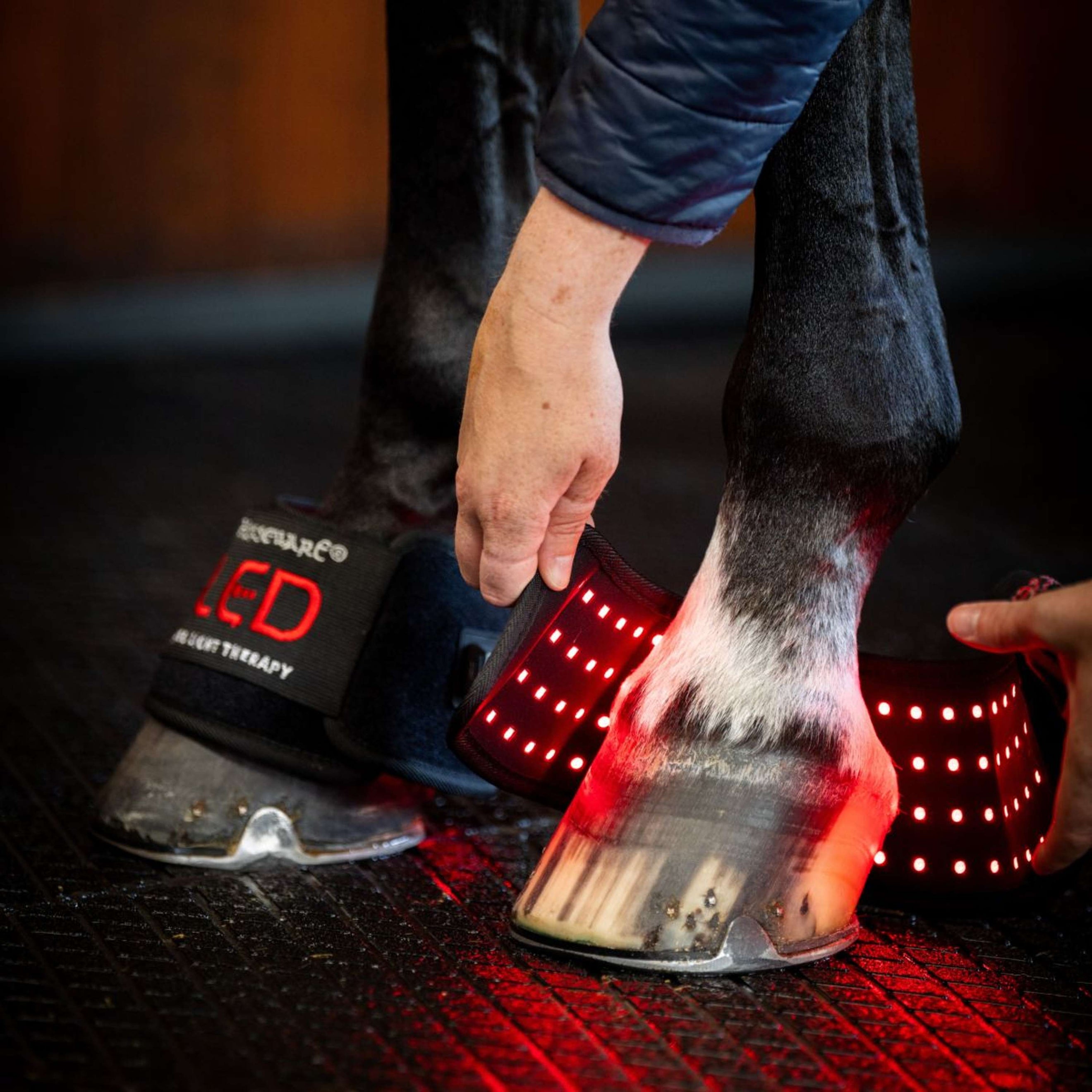 Horseware Mini Wraps LED Red Light Therapy Quad Zwart/Zwart Horseware Mini Wraps LED Red Light Therapy Quad Zwart/Zwart