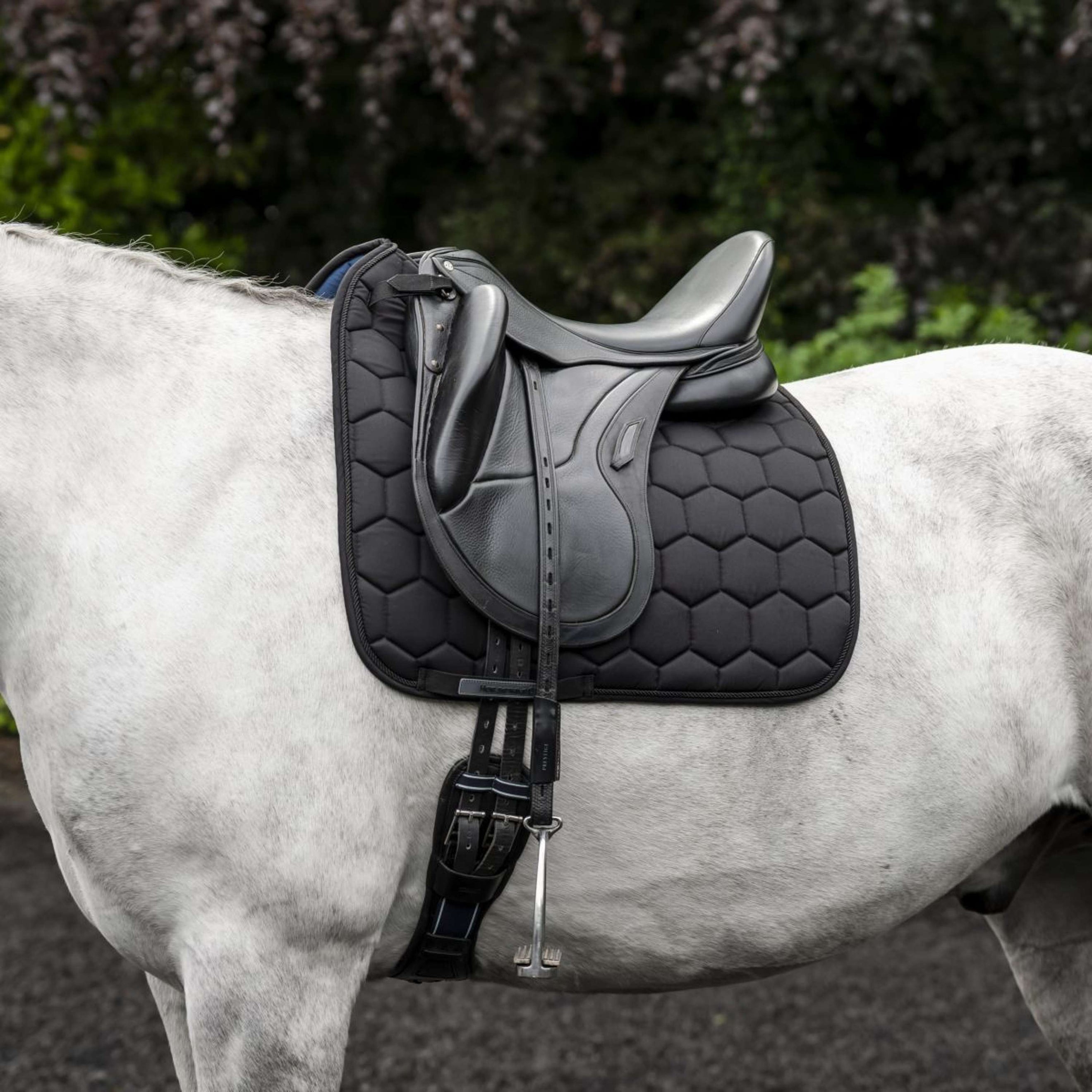 Horseware Zadeldekje Ionic Dressuur Zwart