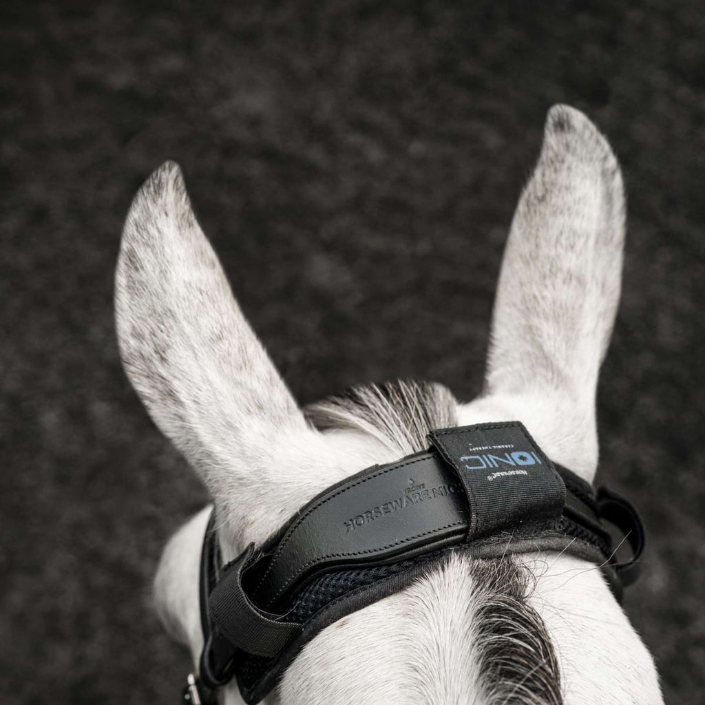 Horseware Kopstukbeschermer Ionic Zwart