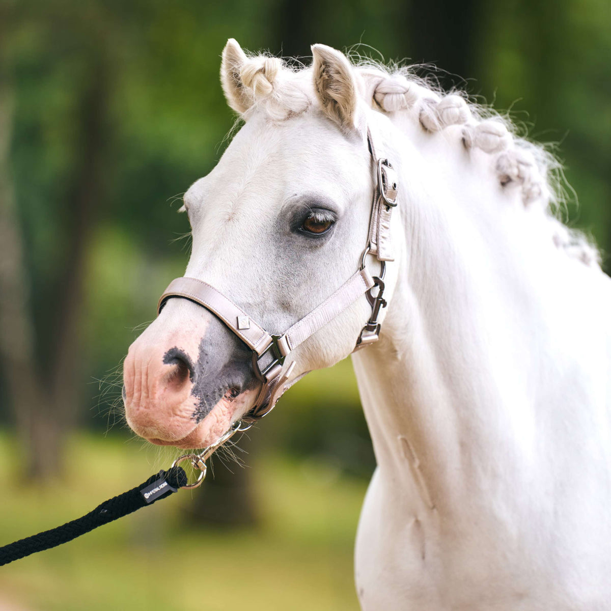 Imperial Riding Halster IRHRebel Grijs