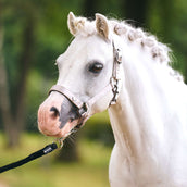 Imperial Riding Halster IRHRebel Grijs