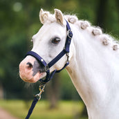 Imperial Riding Halster IRHRebel Navy