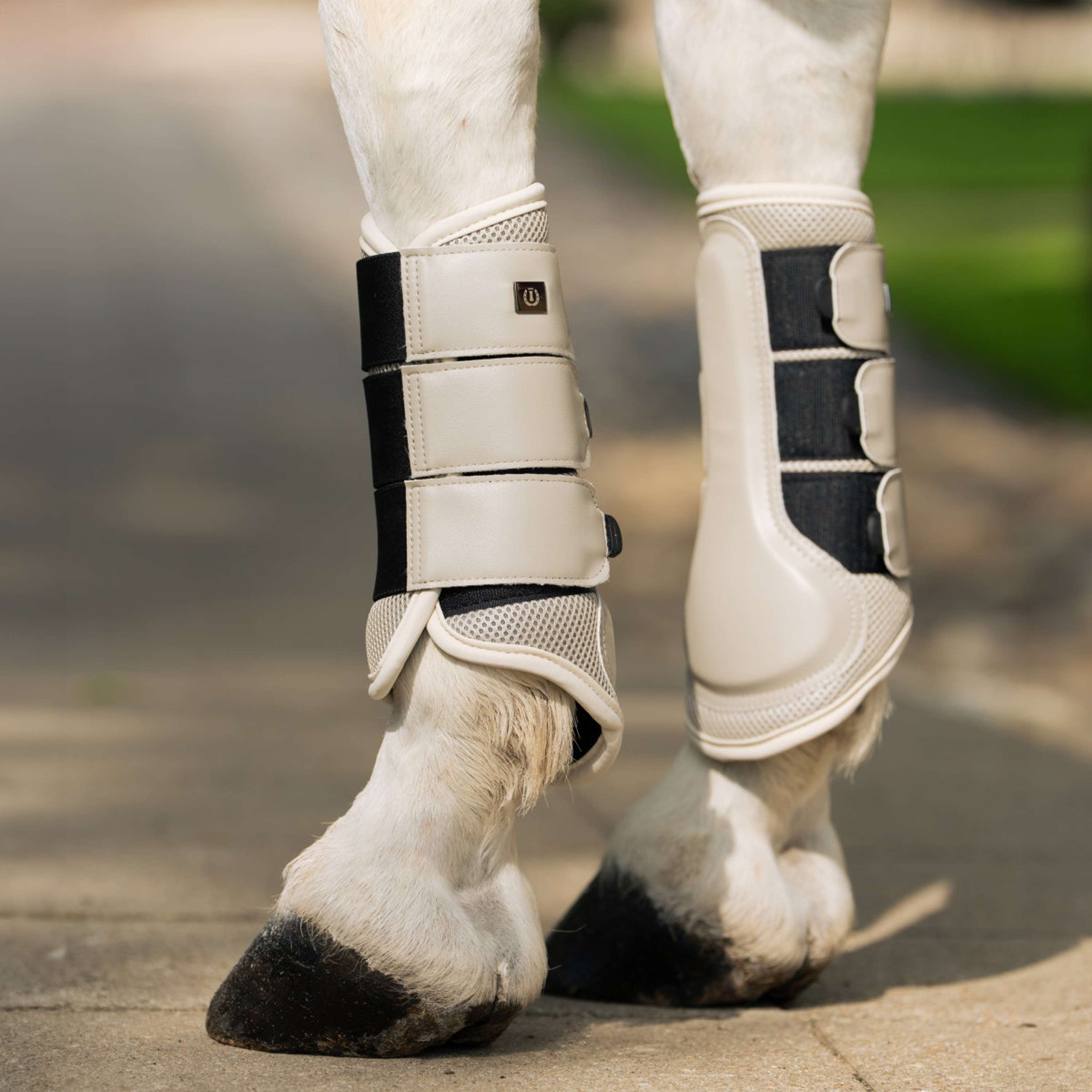 Imperial Riding Dressage Boots IRHCloud Dancer Grijs Imperial Riding Dressage Boots IRHCloud Dancer Grijs
