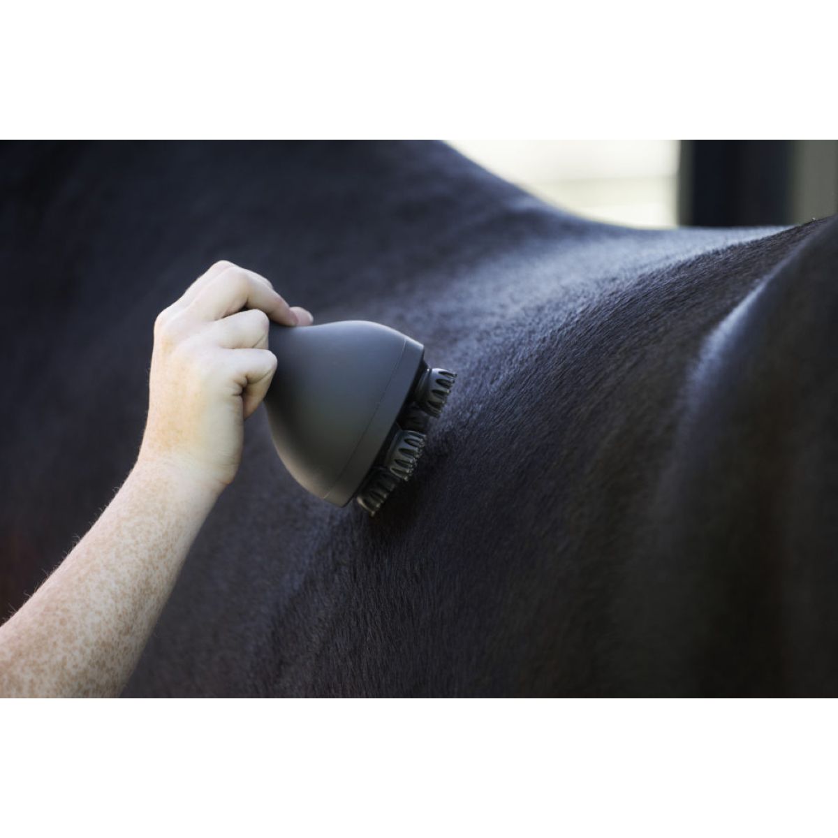 Imperial Riding Grooming & Relexation IRHVolta Massageborstel Zwart