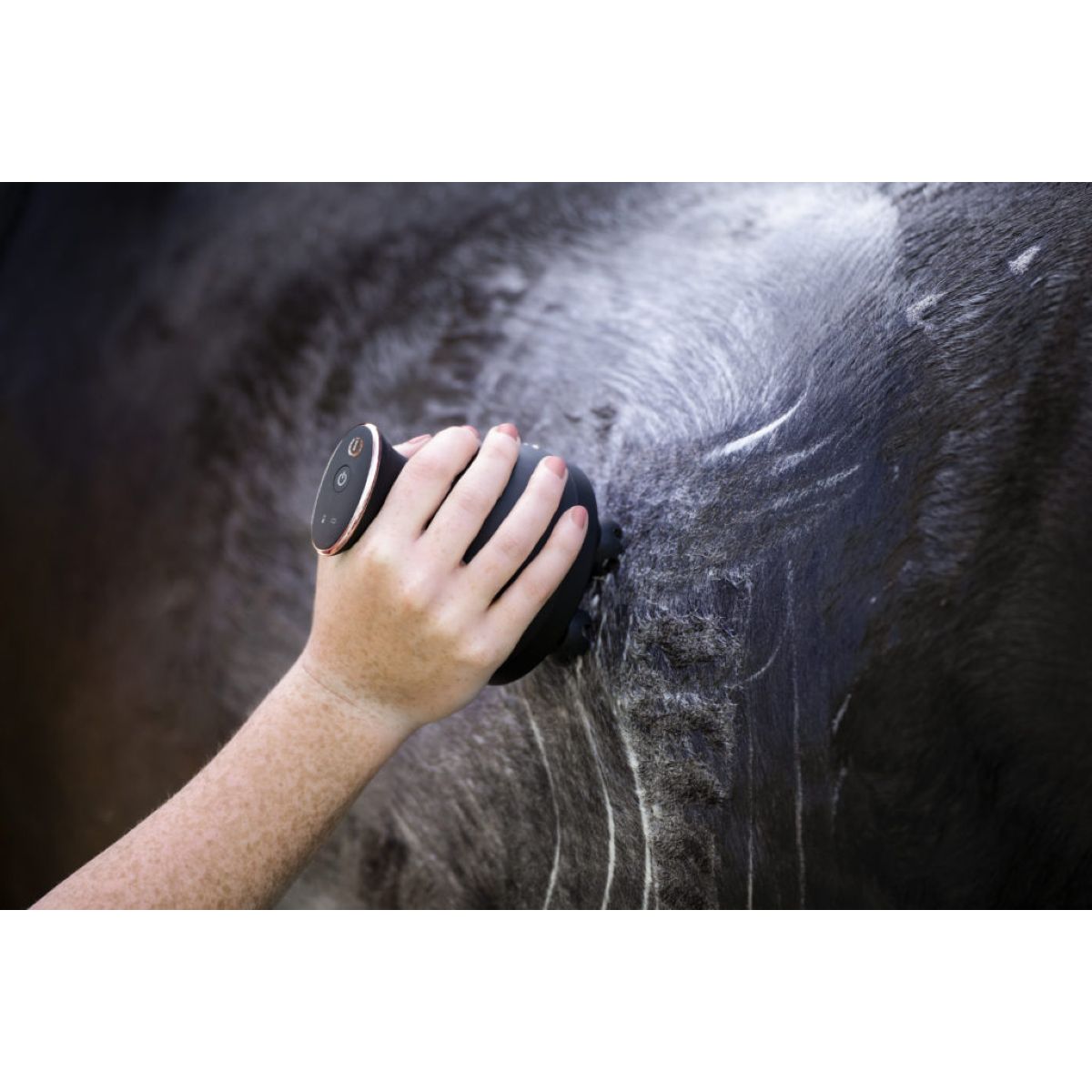 Imperial Riding Grooming & Relexation IRHVolta Massageborstel Zwart