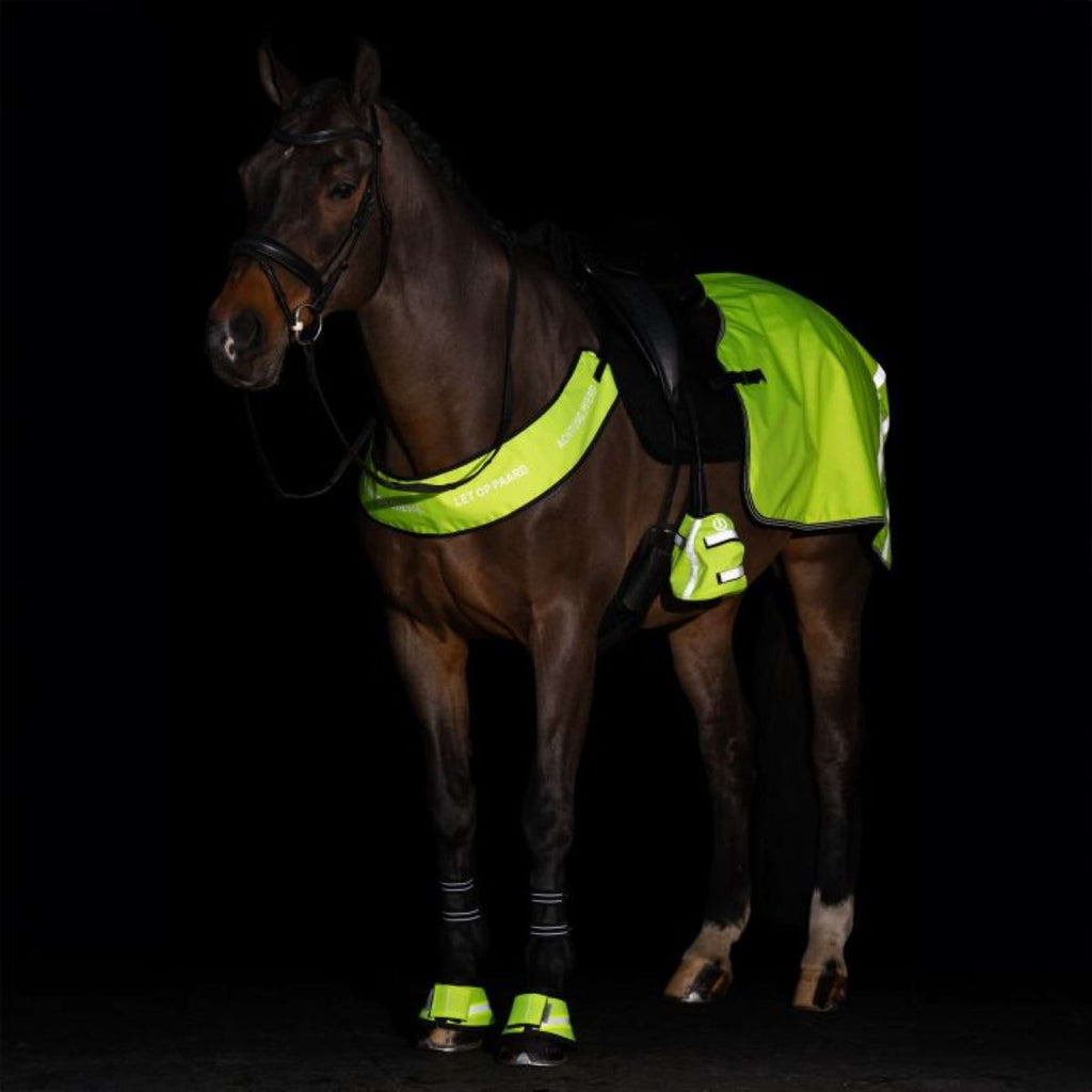 Imperial Riding Borsttuig IRHReflective Geel