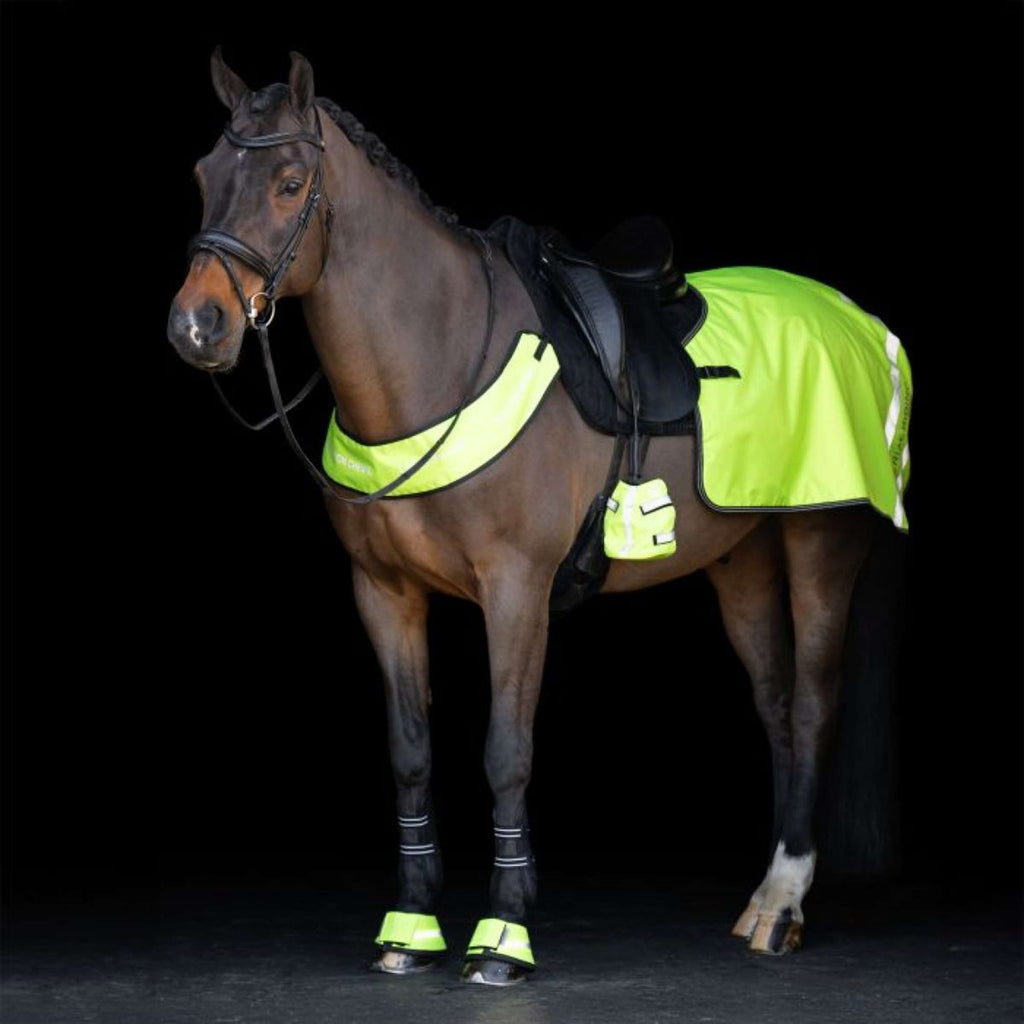 Imperial Riding Borsttuig IRHReflective Geel